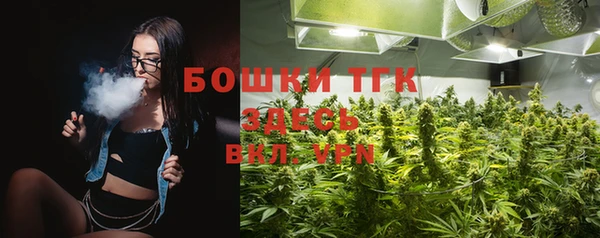 гашик Каменногорск