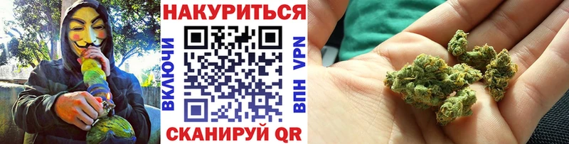 продажа наркотиков  Завитинск  гидра онион  МАРИХУАНА ГИДРОПОН 
